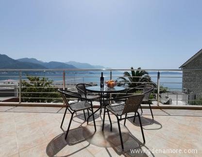 apple cat, private accommodation in city Bijela, Montenegro - 4D3CD18D-8467-4C73-9AD0-346E723770F4